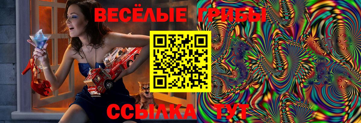 Псилоцибиновые грибы мицелий Волжский